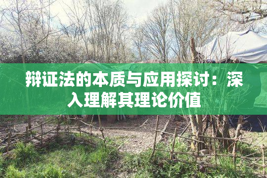 辩证法的本质与应用探讨：深入理解其理论价值