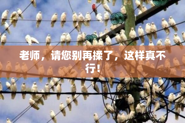 老师，请您别再揉了，这样真不行！