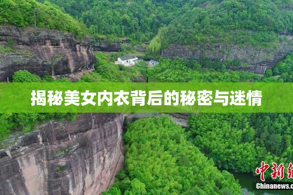 揭秘美女内衣背后的秘密与迷情