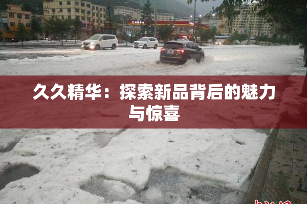 久久精华：探索新品背后的魅力与惊喜