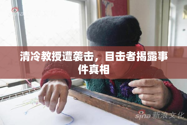 清冷教授遭袭击，目击者揭露事件真相