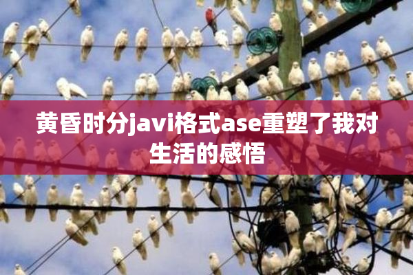 黄昏时分javi格式ase重塑了我对生活的感悟