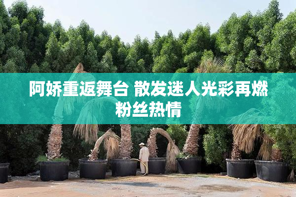 阿娇重返舞台 散发迷人光彩再燃粉丝热情