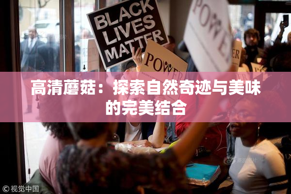 高清蘑菇：探索自然奇迹与美味的完美结合