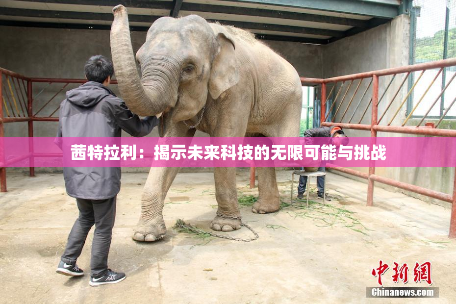 茜特拉利：揭示未来科技的无限可能与挑战