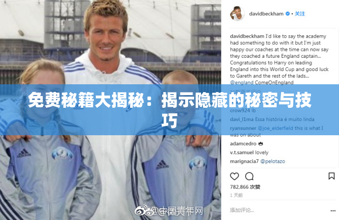 免费秘籍大揭秘：揭示隐藏的秘密与技巧