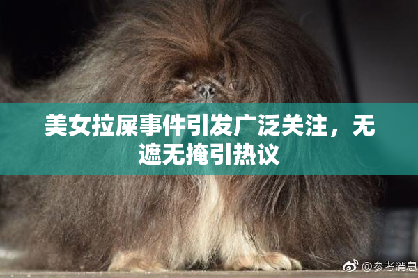 美女拉屎事件引发广泛关注，无遮无掩引热议
