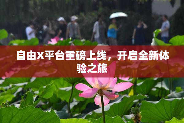 自由X平台重磅上线，开启全新体验之旅