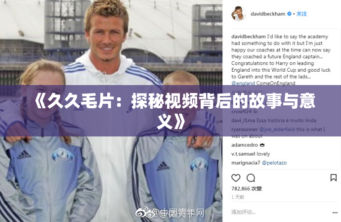 《久久毛片：探秘视频背后的故事与意义》