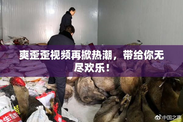 爽歪歪视频再掀热潮，带给你无尽欢乐！