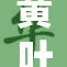 黄叶纷飞，秋日的清新带来一丝黄昏的温暖