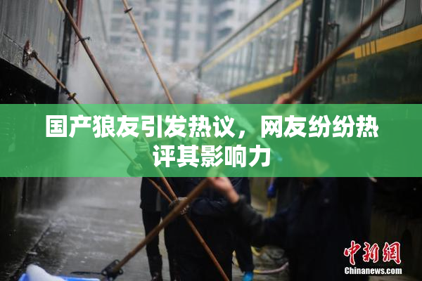 国产狼友引发热议，网友纷纷热评其影响力
