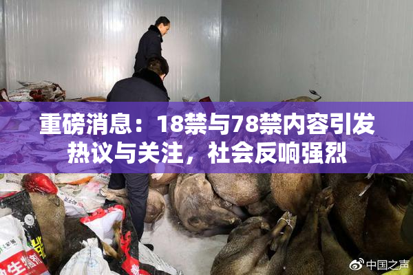 重磅消息：18禁与78禁内容引发热议与关注，社会反响强烈
