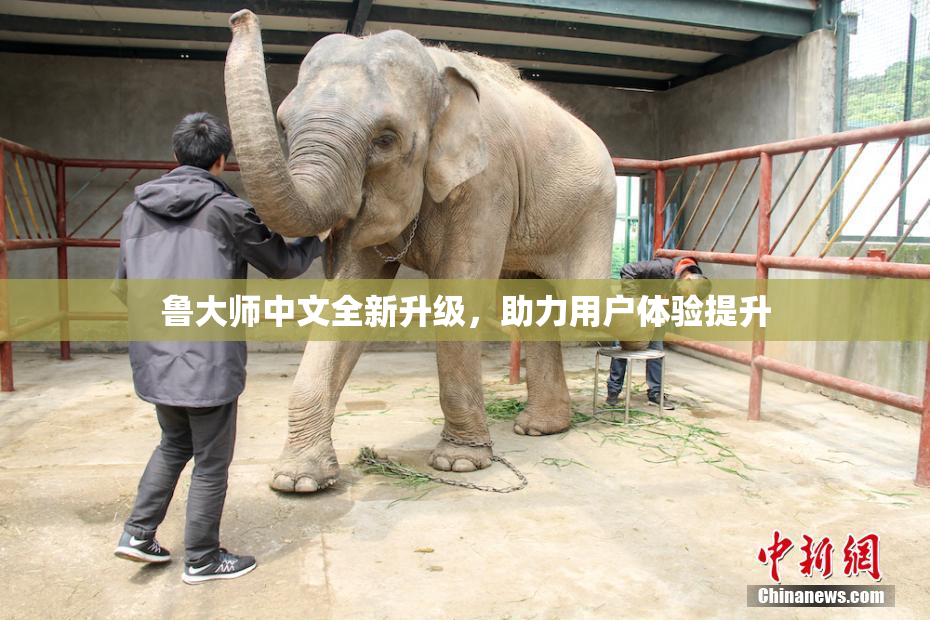 鲁大师中文全新升级，助力用户体验提升