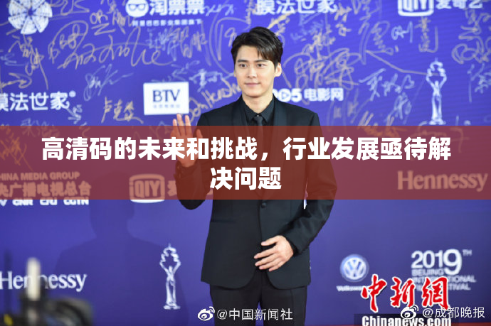 高清码的未来和挑战，行业发展亟待解决问题
