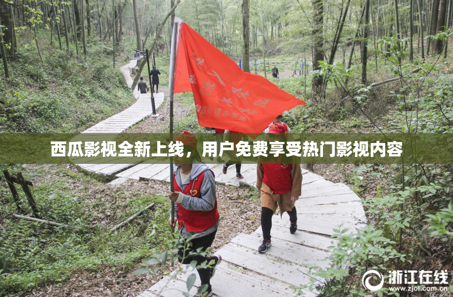 西瓜影视全新上线，用户免费享受热门影视内容