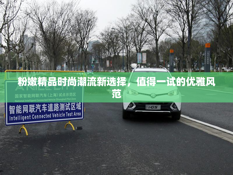 粉嫩精品时尚潮流新选择，值得一试的优雅风范