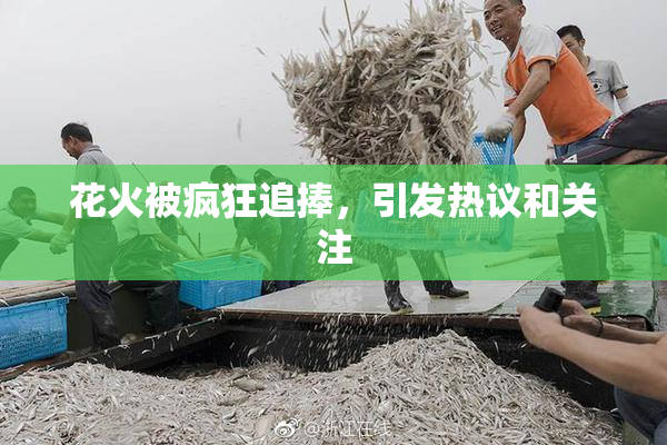 花火被疯狂追捧，引发热议和关注