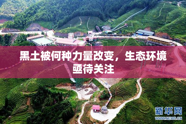 黑土被何种力量改变，生态环境亟待关注