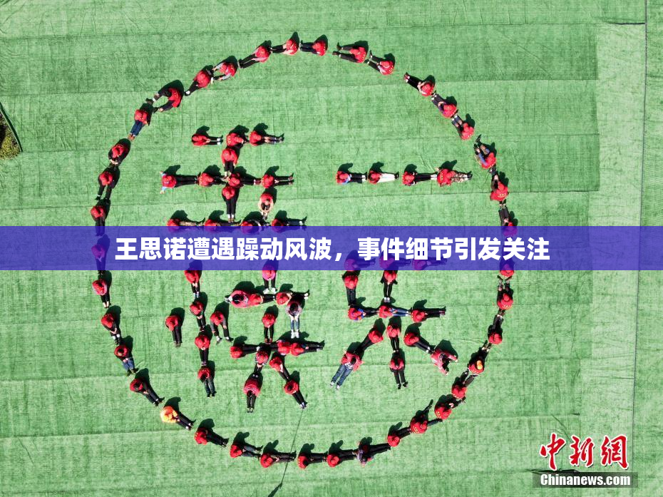王思诺遭遇躁动风波，事件细节引发关注