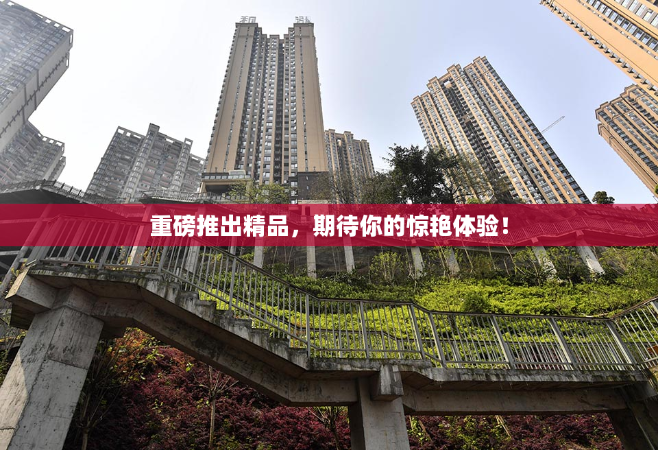 重磅推出精品，期待你的惊艳体验！