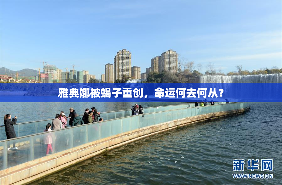 雅典娜被蝎子重创，命运何去何从？
