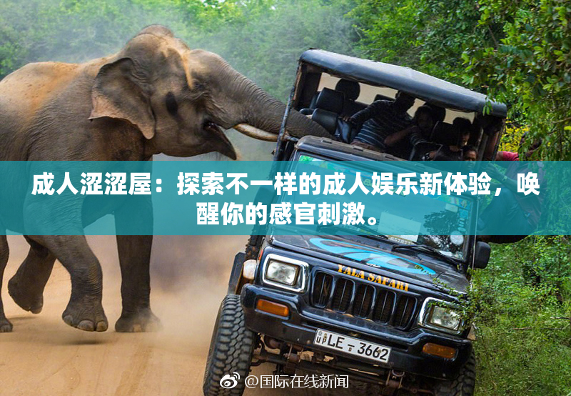 成人涩涩屋：探索不一样的成人娱乐新体验，唤醒你的感官刺激。