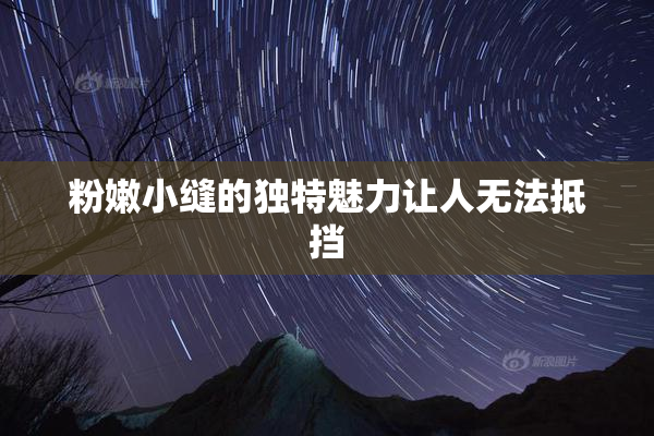 粉嫩小缝的独特魅力让人无法抵挡