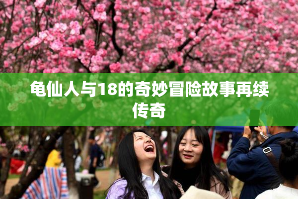 龟仙人与18的奇妙冒险故事再续传奇