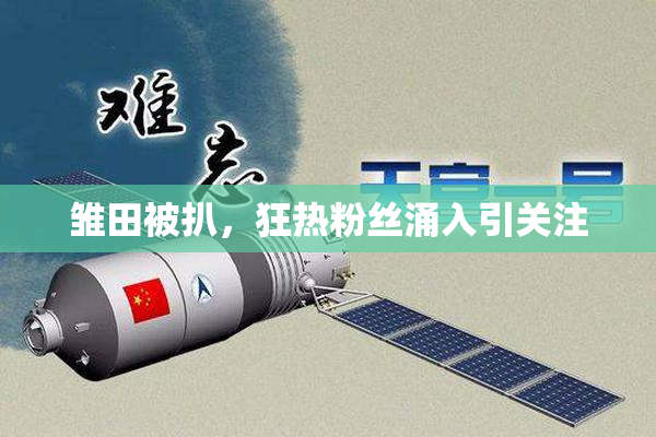 雏田被扒，狂热粉丝涌入引关注