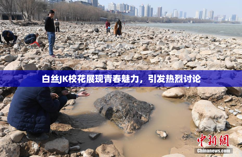 白丝JK校花展现青春魅力，引发热烈讨论