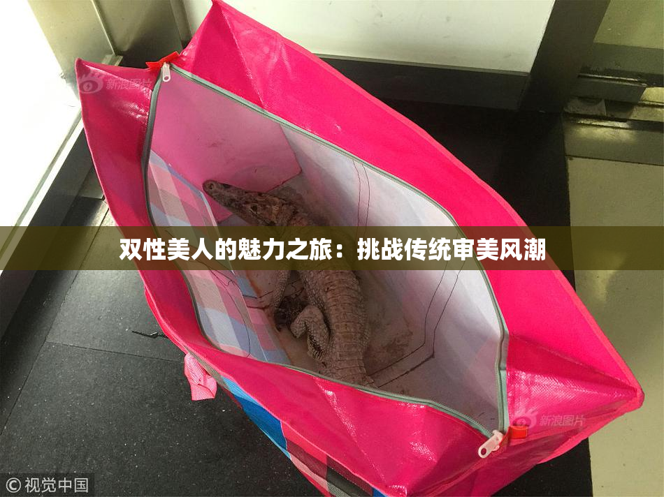 双性美人的魅力之旅：挑战传统审美风潮