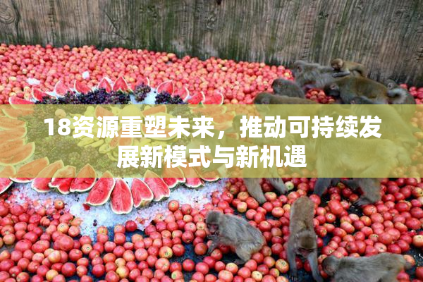 18资源重塑未来，推动可持续发展新模式与新机遇