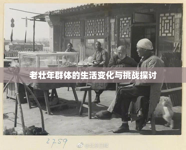 老壮年群体的生活变化与挑战探讨