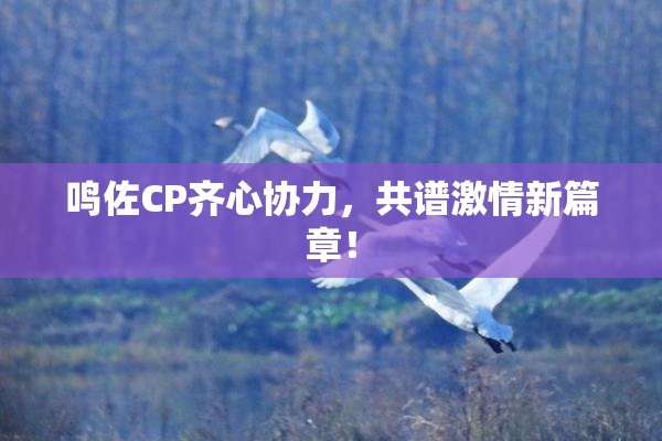 鸣佐CP齐心协力，共谱激情新篇章！