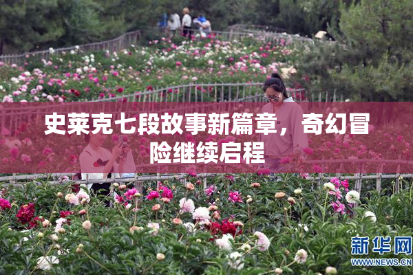 史莱克七段故事新篇章，奇幻冒险继续启程