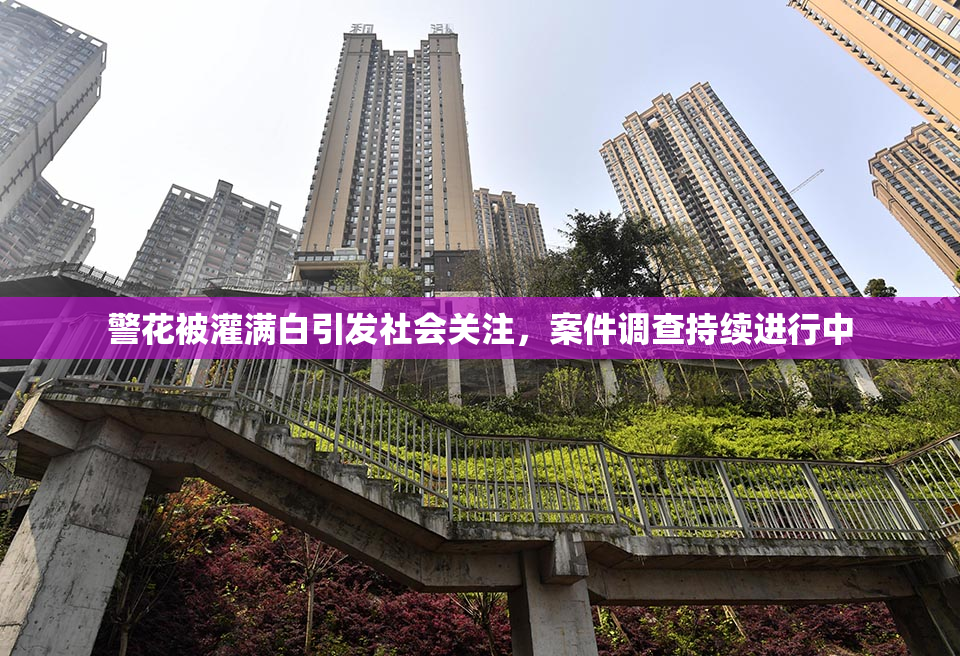 警花被灌满白引发社会关注，案件调查持续进行中