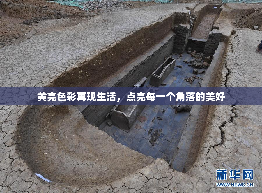 黄亮色彩再现生活，点亮每一个角落的美好