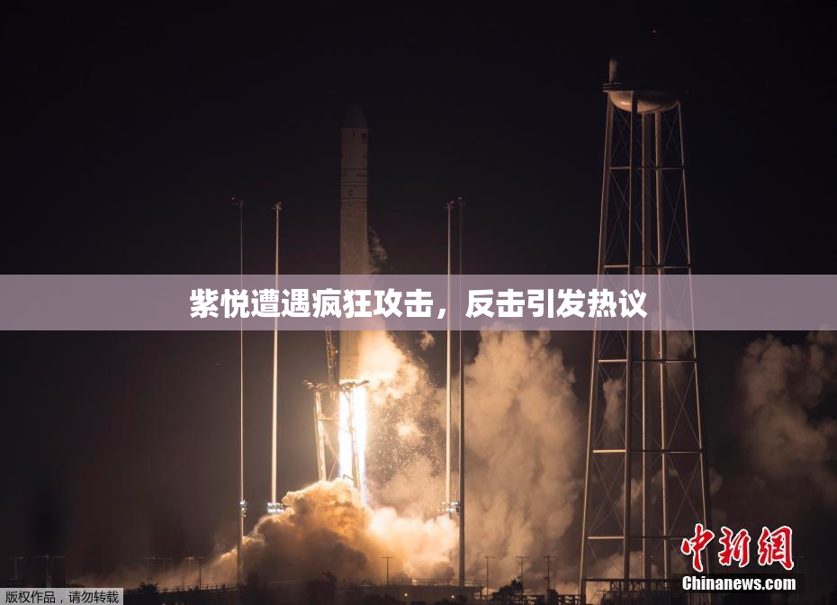 紫悦遭遇疯狂攻击，反击引发热议