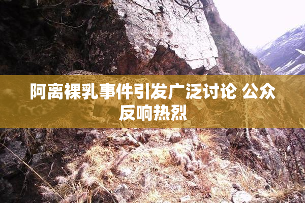 阿离裸乳事件引发广泛讨论 公众反响热烈