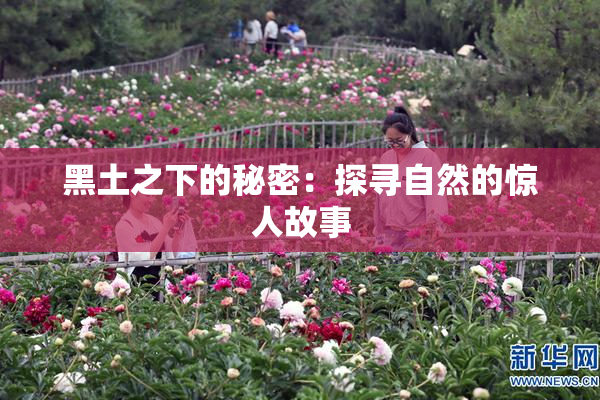 黑土之下的秘密：探寻自然的惊人故事