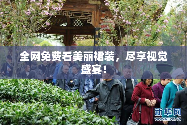 全网免费看美丽裙装，尽享视觉盛宴！
