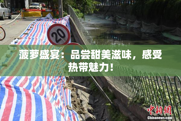 菠萝盛宴：品尝甜美滋味，感受热带魅力！