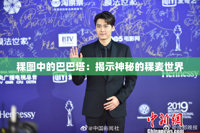 稞图中的巴巴塔：揭示神秘的稞麦世界