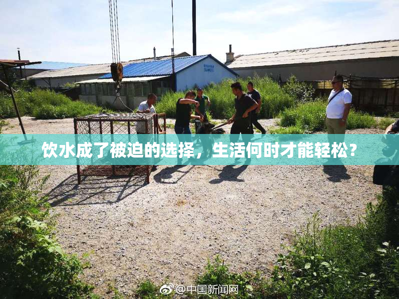 饮水成了被迫的选择，生活何时才能轻松？