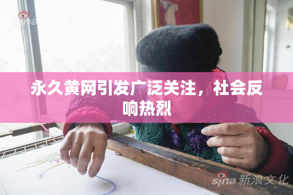 永久黄网引发广泛关注，社会反响热烈