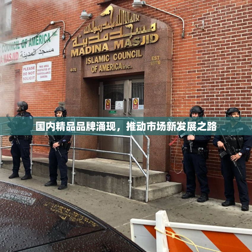 国内精品品牌涌现，推动市场新发展之路