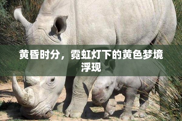 黄昏时分，霓虹灯下的黄色梦境浮现