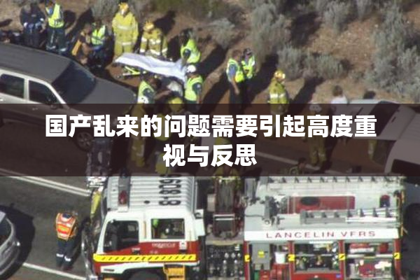 国产乱来的问题需要引起高度重视与反思