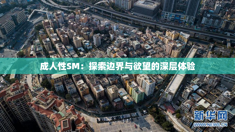 成人性SM：探索边界与欲望的深层体验